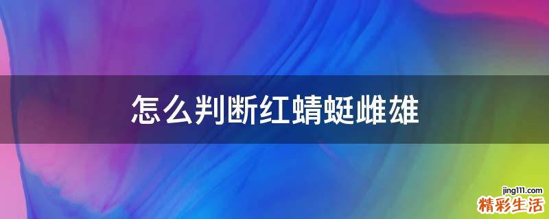 怎么判断红蜻蜓雌雄