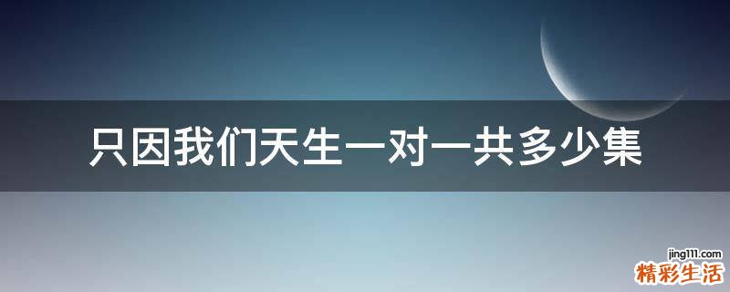 只因我们天生一对一共多少集