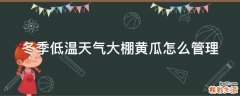 冬季低温天气大棚黄瓜怎么管理