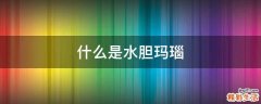 什么是水胆玛瑙