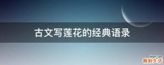 古文写莲花的经典语录