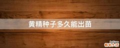 黄精种子多久能出苗