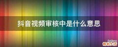抖音视频审核中是什么意思
