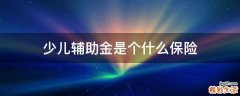 少儿辅助金是个什么保险