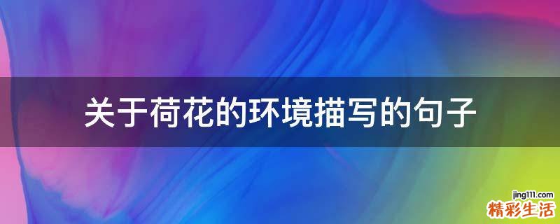关于荷花的环境描写的句子