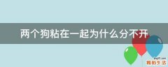 两个狗粘在一起为什么分不开
