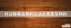 对运输毒品罪的立法反思是怎样的