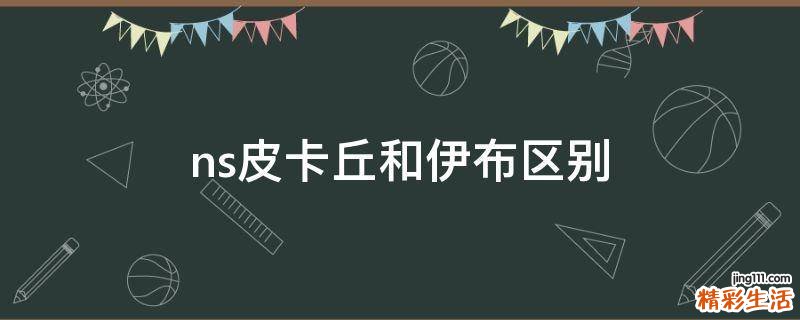 ns皮卡丘和伊布区别