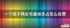 一个孩子两处宅基地多占怎么收费