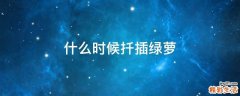 什么时候扦插绿萝