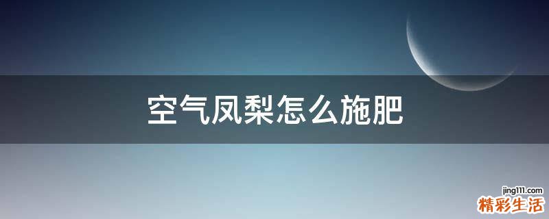 空气凤梨怎么施肥