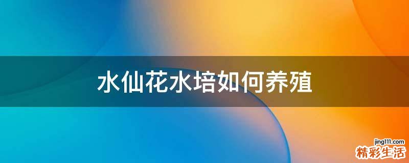 水仙花水培如何养殖