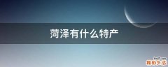 菏泽有什么特产
