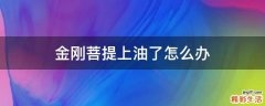 金刚菩提上油了怎么办