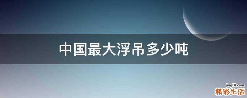 中国最大浮吊多少吨