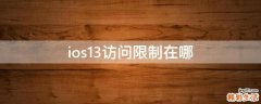 ios13访问限制在哪