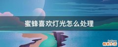 蜜蜂喜欢灯光怎么处理