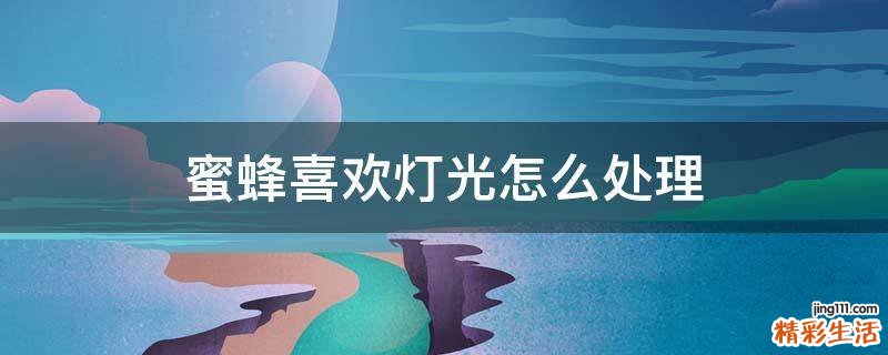 蜜蜂喜欢灯光怎么处理