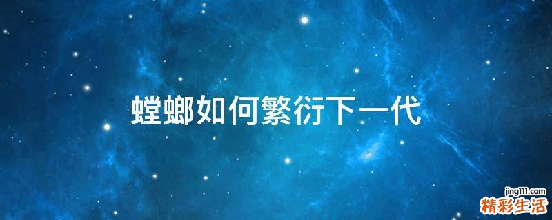 螳螂如何繁衍下一代