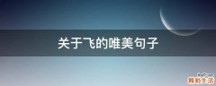 关于飞的唯美句子