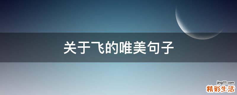 关于飞的唯美句子