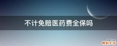 不计免赔医药费全保吗