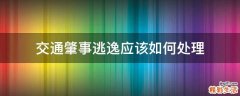 交通肇事逃逸应该如何处理