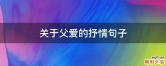 关于父爱的抒情句子