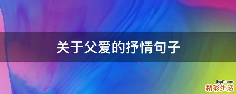 关于父爱的抒情句子
