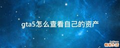 gta5怎么查看自己的资产