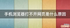 手机浏览器打不开网页是什么原因