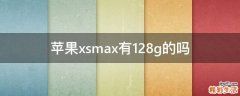苹果xsmax有128g的吗