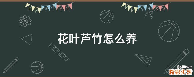 花叶芦竹怎么养