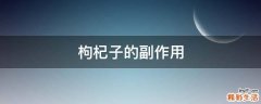枸杞子的副作用