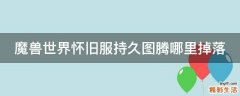 魔兽世界怀旧服持久图腾哪里掉落