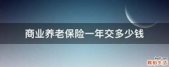 商业养老保险一年交多少钱