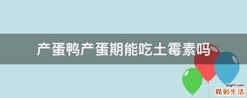 产蛋鸭产蛋期能吃土霉素吗