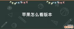 苹果怎么看版本