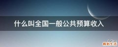 什么叫全国一般公共预算收入