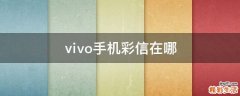 ⅵvo手机彩信在哪
