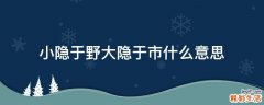 小隐于野大隐于市什么意思