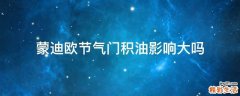 蒙迪欧节气门积油影响大吗
