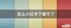 怎么小红书下载不了