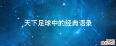 天下足球中的经典语录
