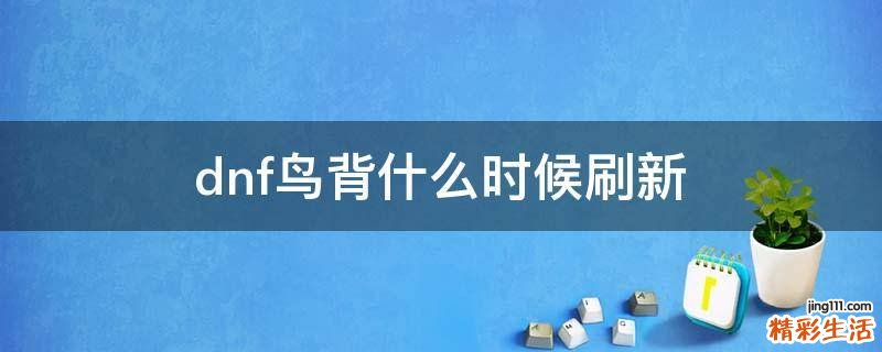 dnf鸟背什么时候刷新