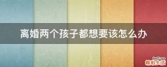 离婚两个孩子都想要该怎么办