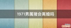 1971男屬豬會(huì)離婚嗎