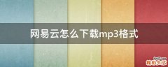 网易云怎么下载mp3格式