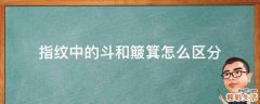 指纹中的斗和簸箕怎么区分