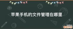 苹果手机的文件管理在哪里